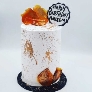 Rheds Indulgence | Cake for her | event bakery | Anikemi Splash Cake | Boldin Website Developer
